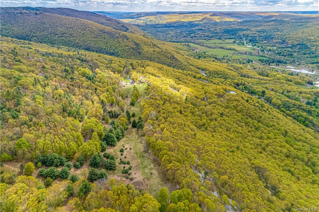 Land Gully  Ulster, NY 12420, MLS-H6249329-5