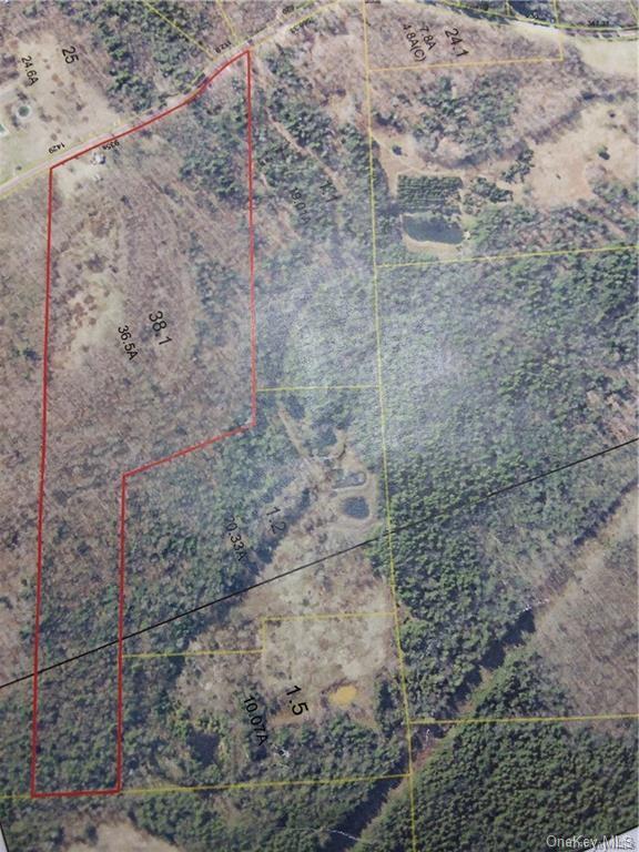 Land Houghtaling  Sullivan, NY 12733, MLS-H6132340-5