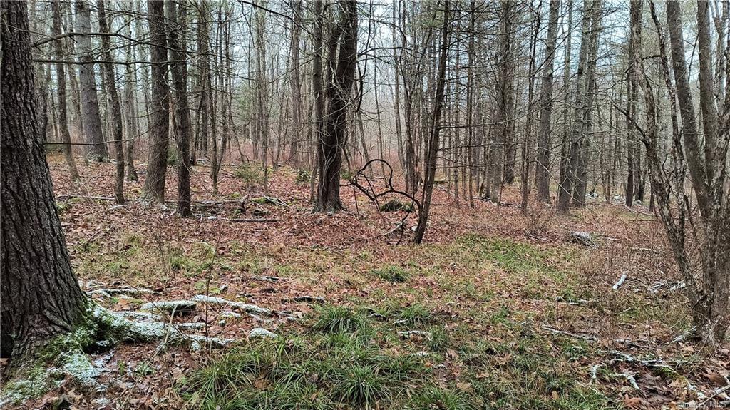 Land New Turnpike A  Sullivan, NY 12726, MLS-H6281364-5