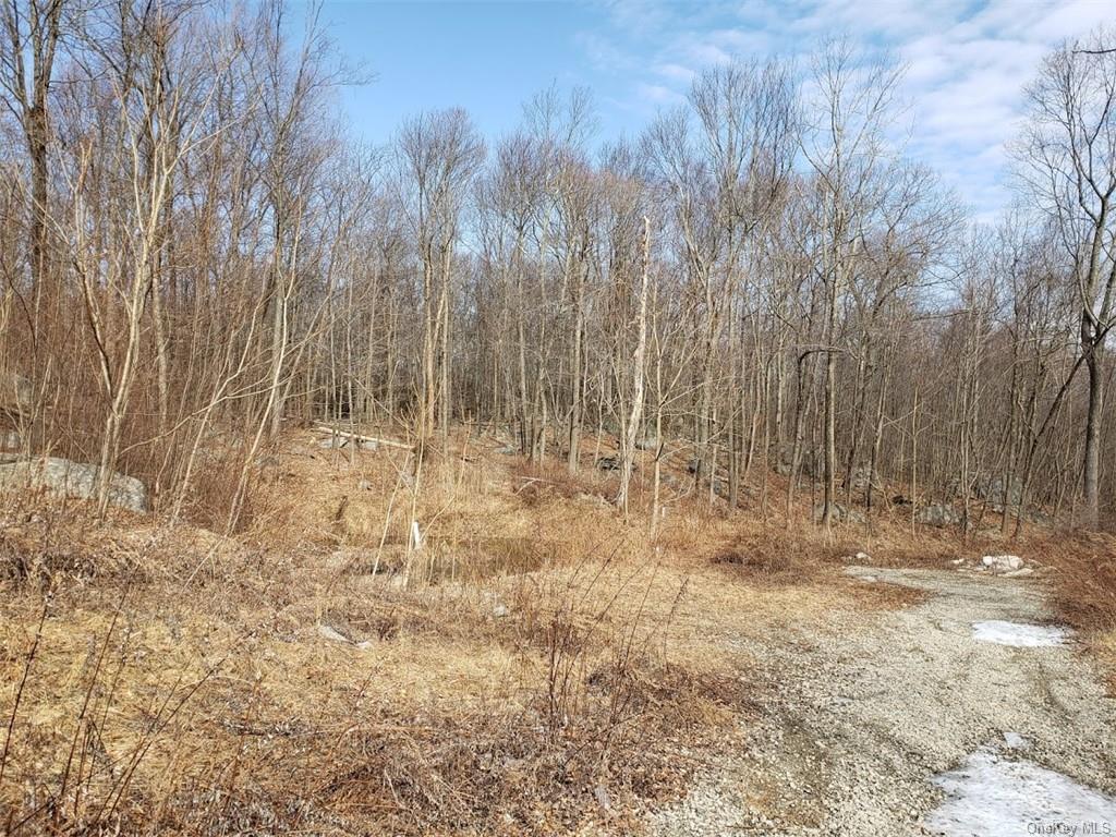 Land White Rock  Dutchess, NY 12531, MLS-H6015368-5