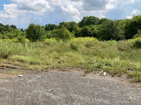 Land Route 9d  Dutchess, NY 12590, MLS-H6206372-5