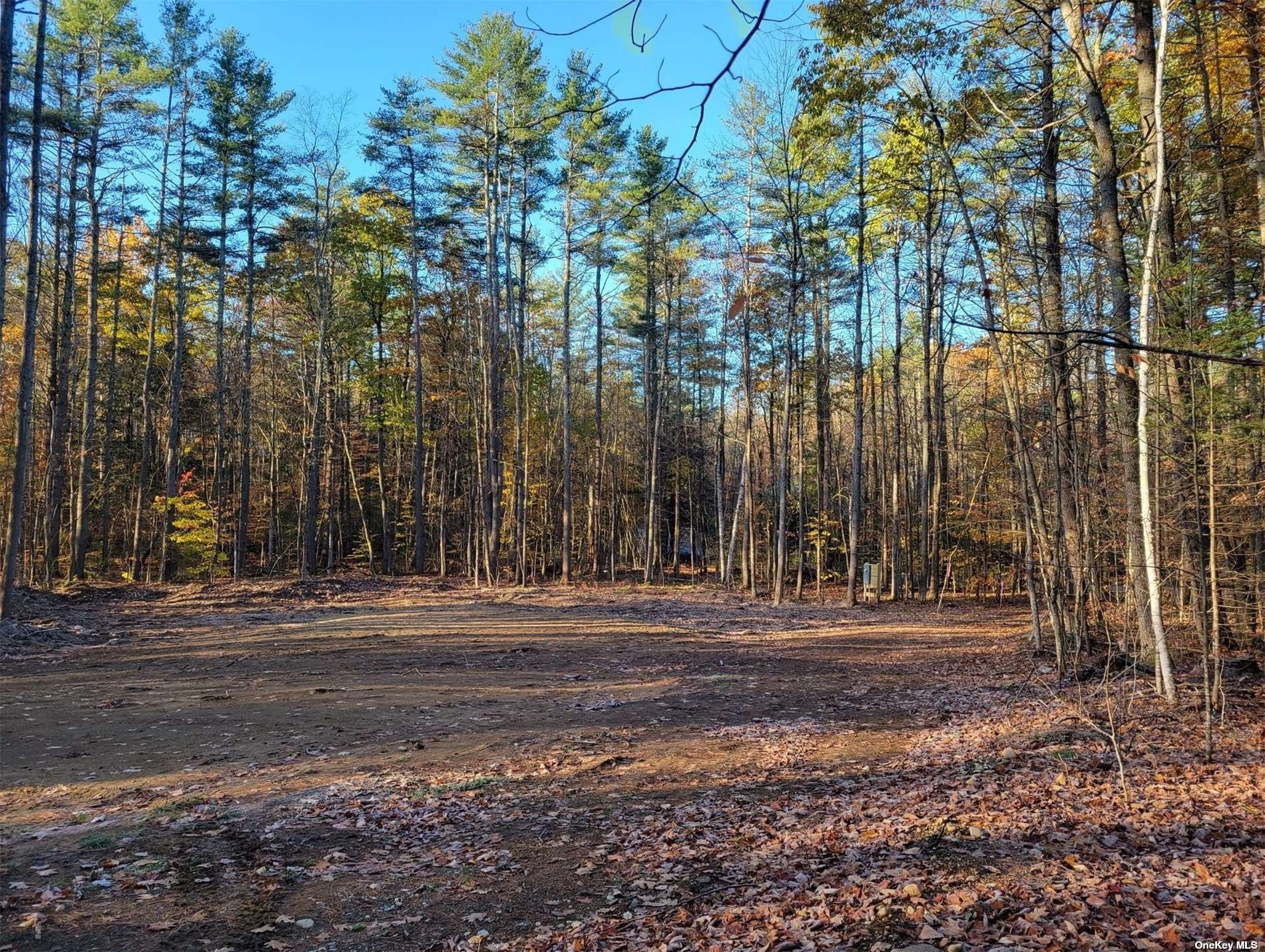Land Mountain Path  Out Of Area, NY , MLS-3465377-5