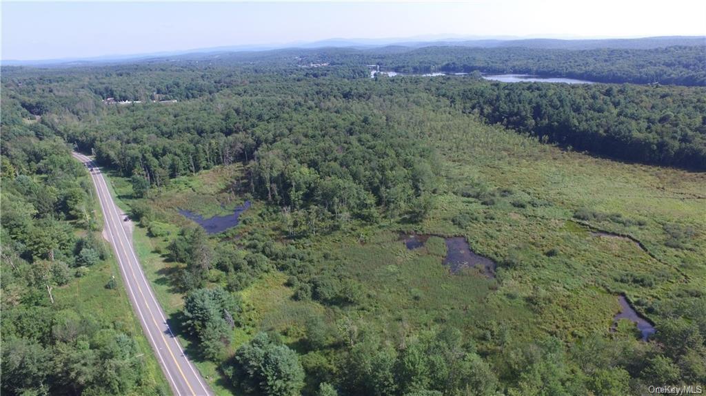 Land Heiden  Sullivan, NY 12733, MLS-H6212378-5