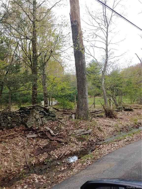 Land Mountain Top  Sullivan, NY 12790, MLS-H6247405-5