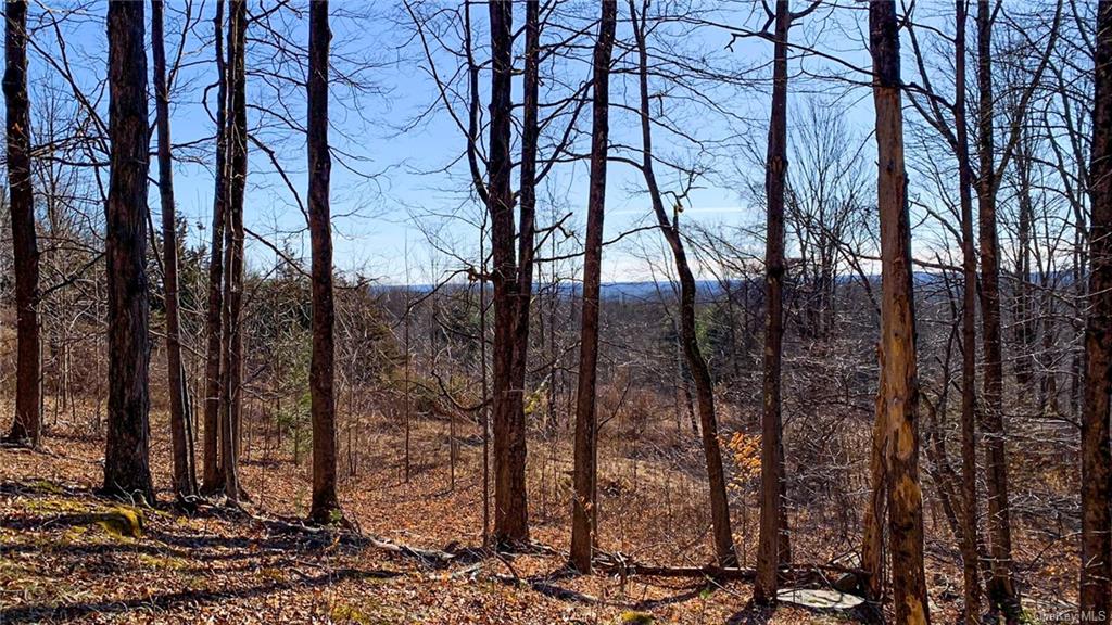 Land Red Rock  Ulster, NY 12489, MLS-H6259428-5