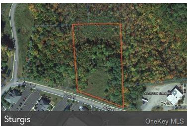 Land Sturgis  Sullivan, NY 12701, MLS-H6204431-5