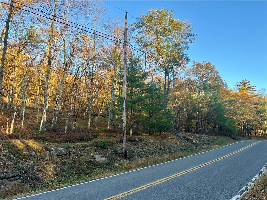 Land Route 28a  Ulster, NY 12443, MLS-H6278433-5