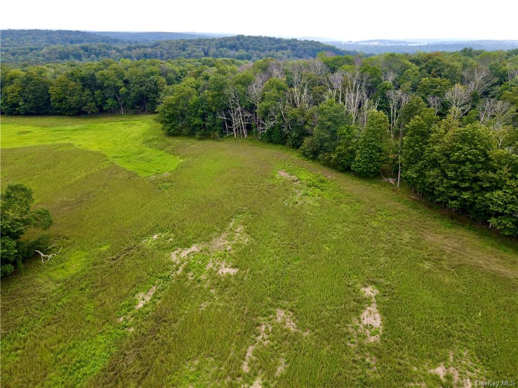 Land Prince  Sullivan, NY 12720, MLS-H6260442-5