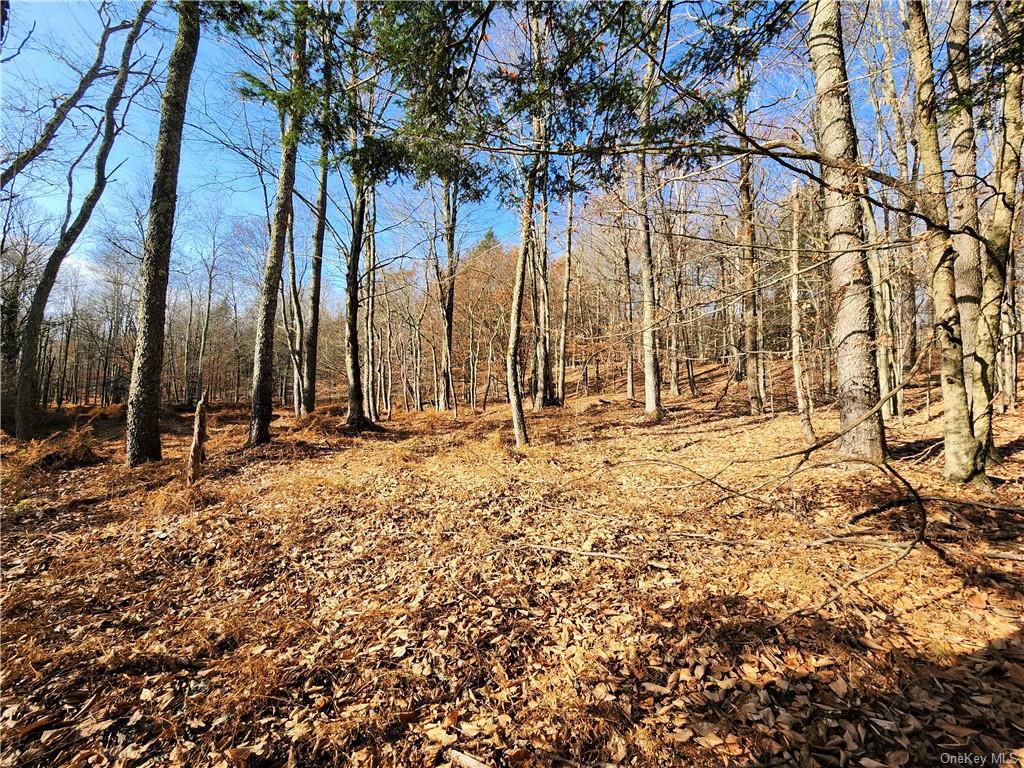 Land Hurd And Parks  Sullivan, NY 12720, MLS-H6219453-5