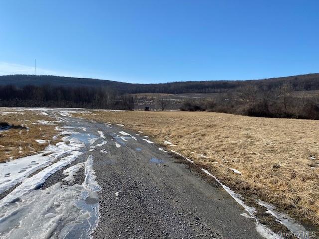 Land Vineyard  Ulster, NY 12528, MLS-H6170462-5