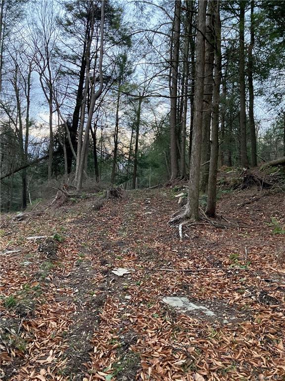 Land Kenoza  Sullivan, NY 12750, MLS-H6271467-5