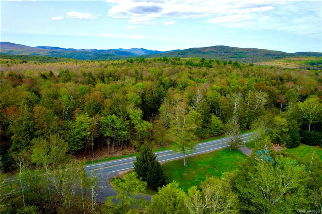 Land State Route 42  Sullivan, NY 12765, MLS-H6248472-5