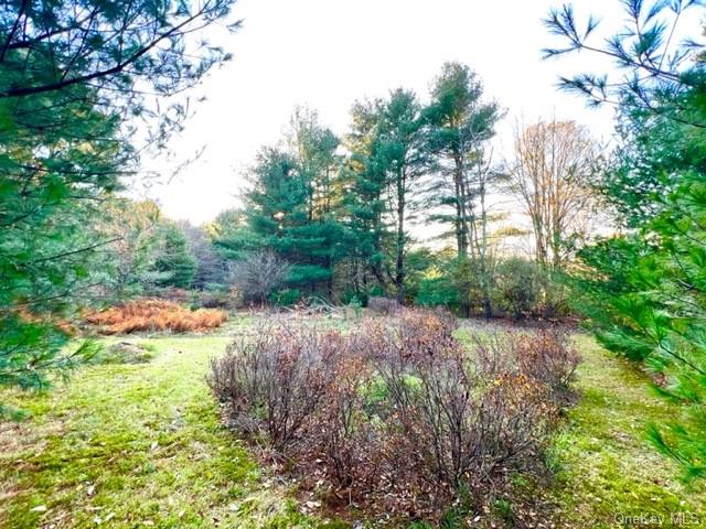 Land Hillside  Sullivan, NY 12719, MLS-H6277475-5