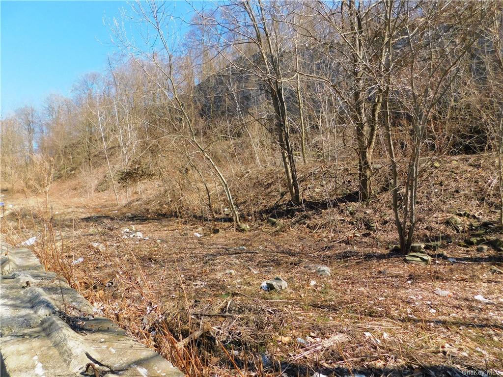 Land Lincoln  Westchester, NY 10566, MLS-H6274477-5
