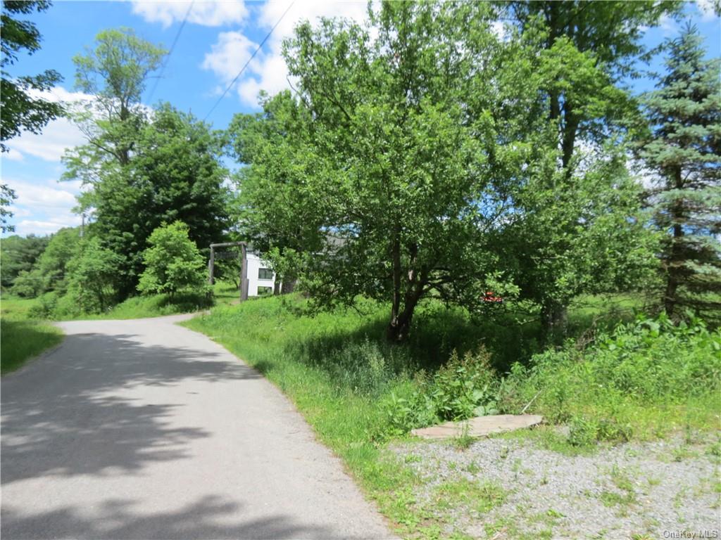 Land Kelly  Sullivan, NY 12726, MLS-H6044507-5