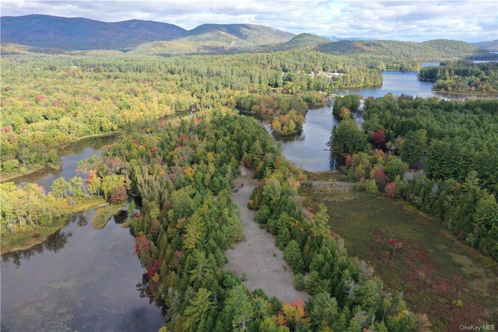 Land Peninsula  Out Of Area, NY 12808, MLS-H6210524-5