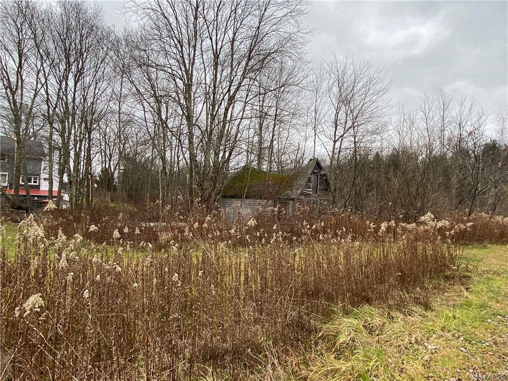 Land Maple  Sullivan, NY 12747, MLS-H6280525-5