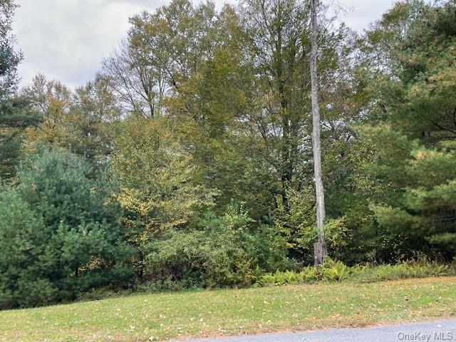 Land Chapin  Sullivan, NY 12720, MLS-H6273528-5