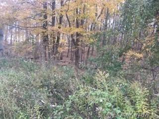 Land Route 52  Dutchess, NY 12533, MLS-H6217545-5