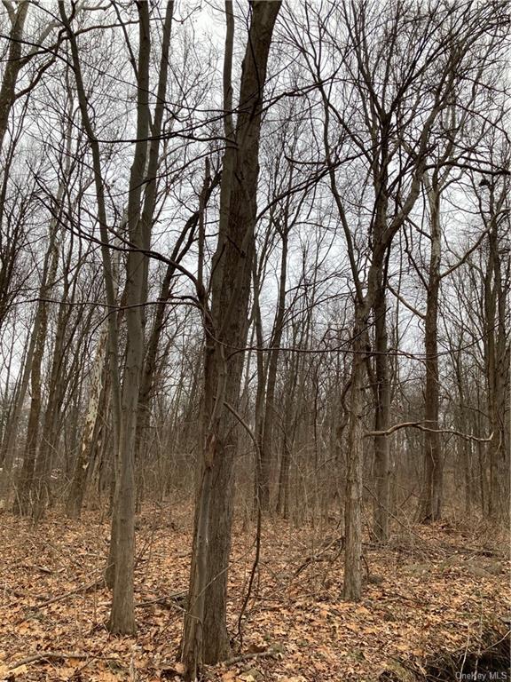 Land 90 Freetown  Ulster, NY 12548, MLS-H6081562-5