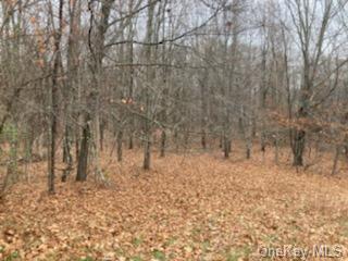 Land Forest  Dutchess, NY 12538, MLS-H6235568-5