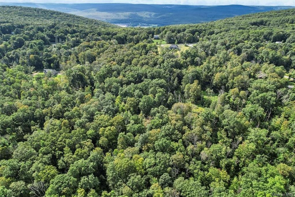 Land Shawanga Lodge  Sullivan, NY 12790, MLS-H6263590-5