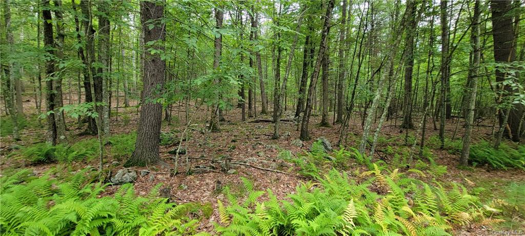 Land Hawks Nest  Out Of Area, NY 18428, MLS-H6265593-5