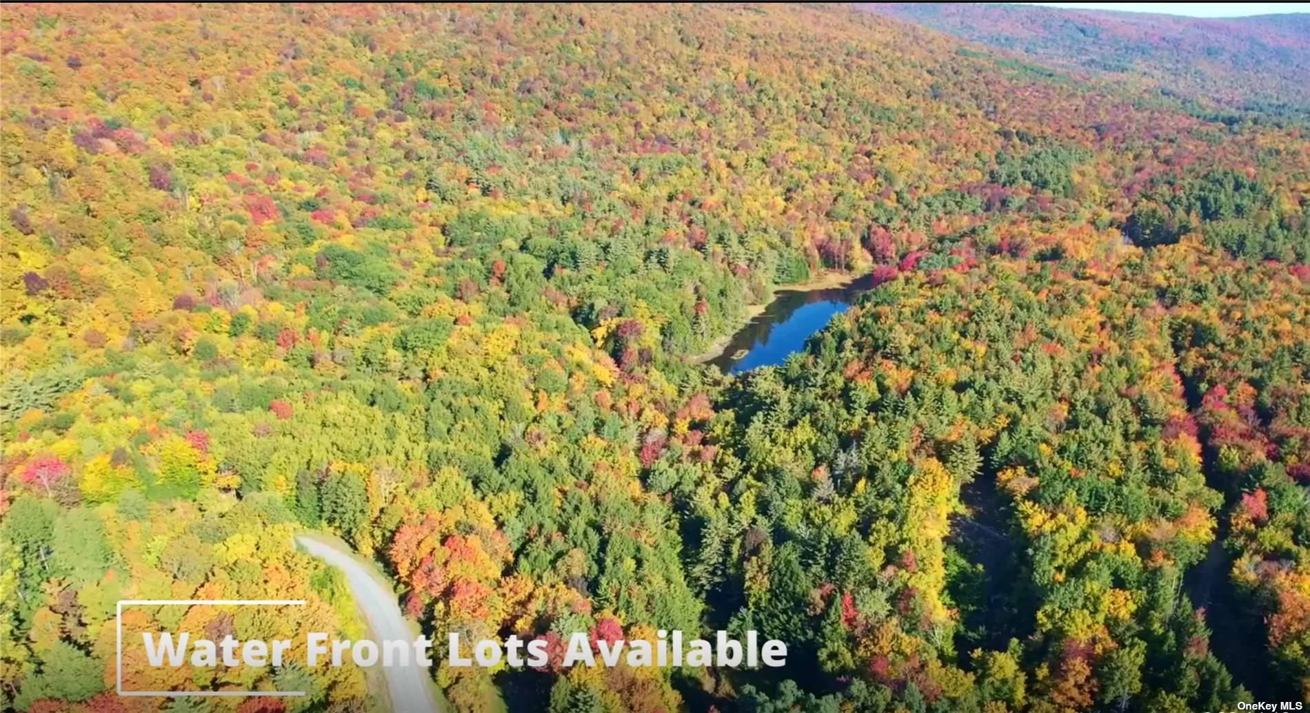 Land Plank  Out Of Area, NY 12859, MLS-3432604-5