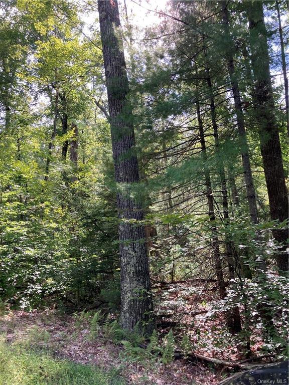 Land Plank  Sullivan, NY 12777, MLS-H6190627-5