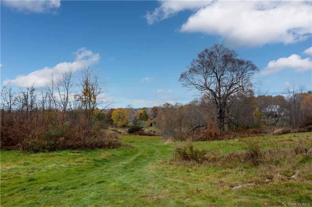 Land Willow Pond  Dutchess, NY 12540, MLS-H6274634-5