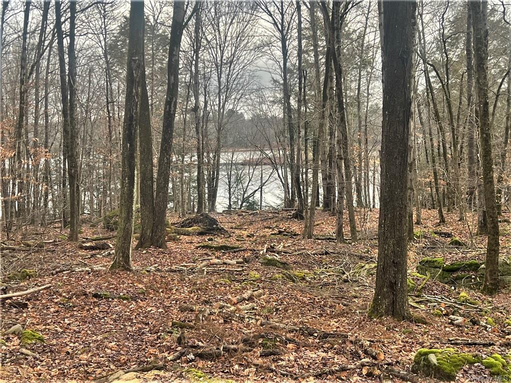 Land Lakeshore  Sullivan, NY 12778, MLS-H6143640-5