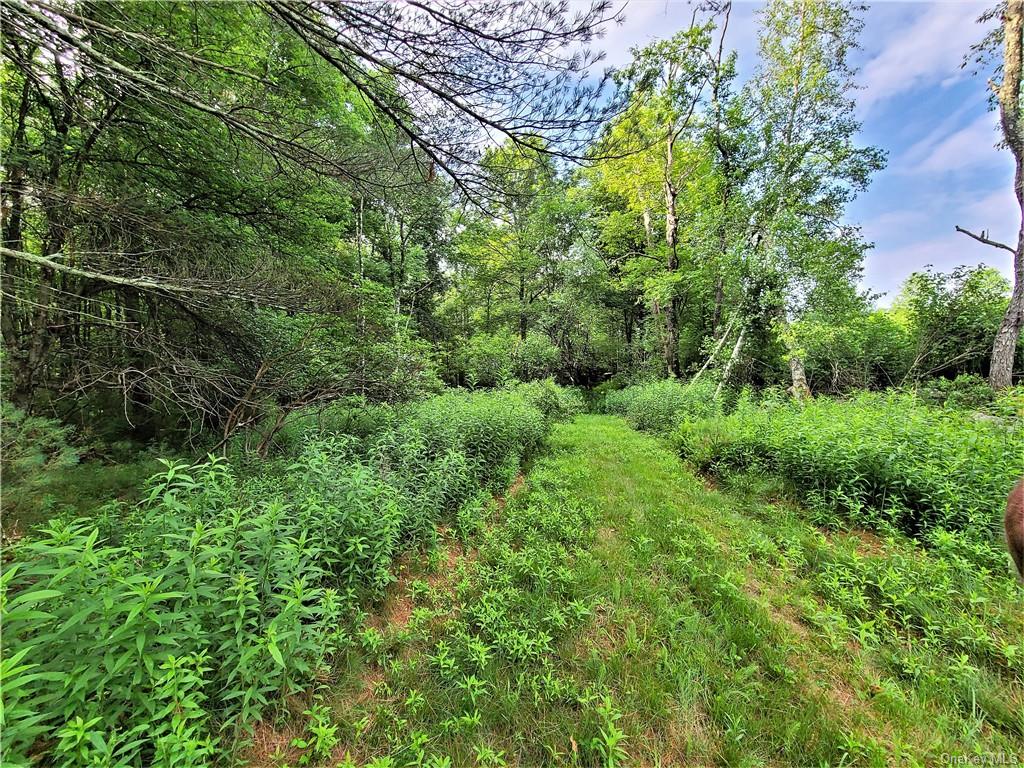 Land Mitchell  Sullivan, NY 12786, MLS-H6243649-5