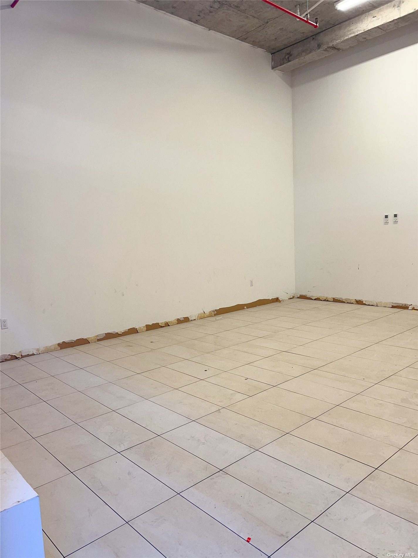 Commercial Lease Roosevelt  Queens, NY 11368, MLS-3514658-5