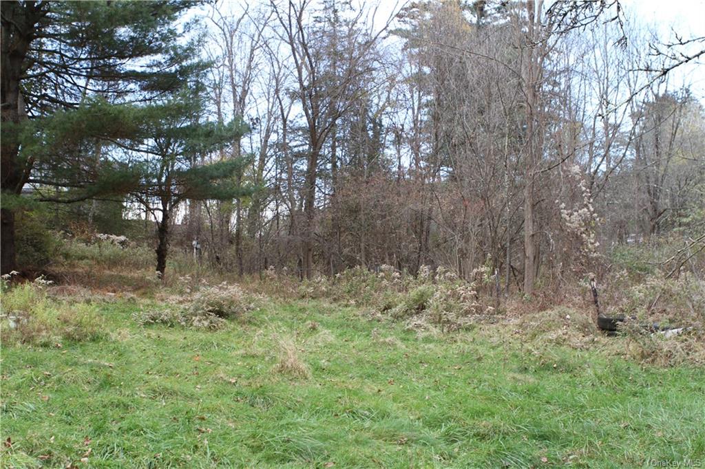 Land Poole Hill  Columbia, NY 12502, MLS-H6277659-5