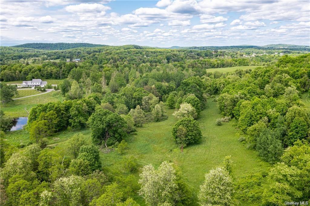 Land Willow Pond  Dutchess, NY 12540, MLS-H6271665-5