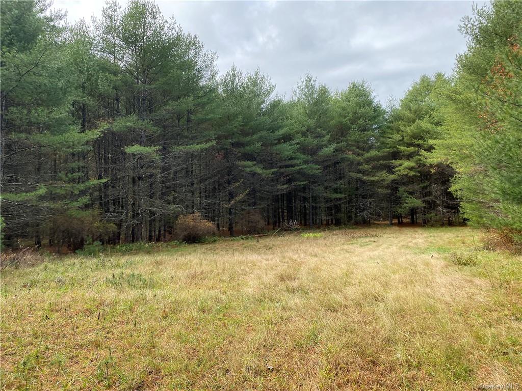 Land Stag Forest  Sullivan, NY 12777, MLS-H6268672-5