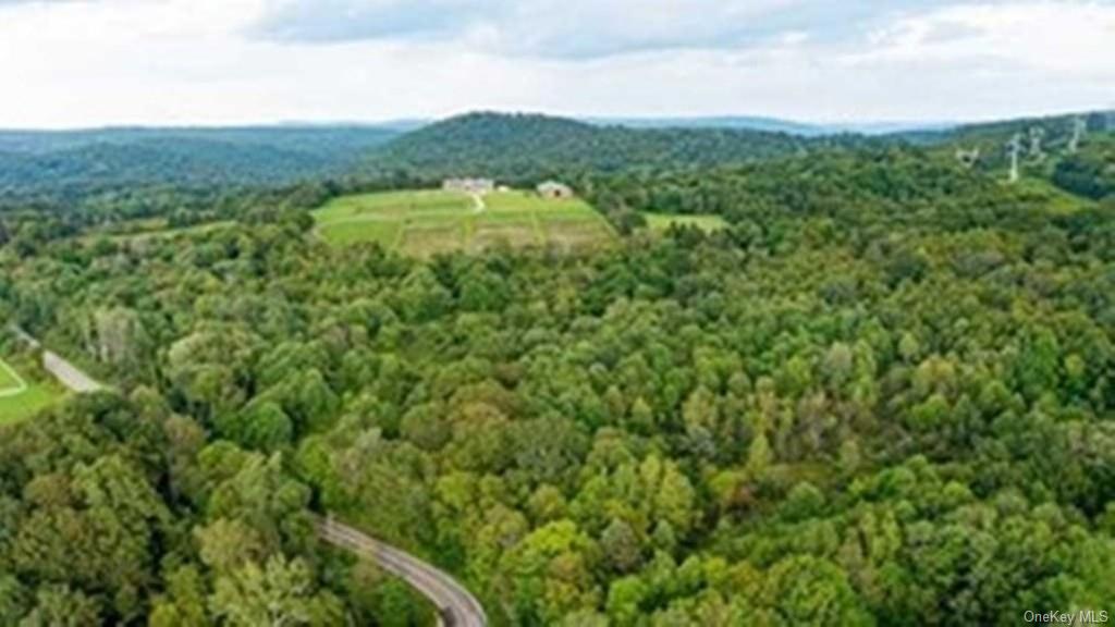 Land Chestnut Ridge  Dutchess, NY 12522, MLS-H6253675-5