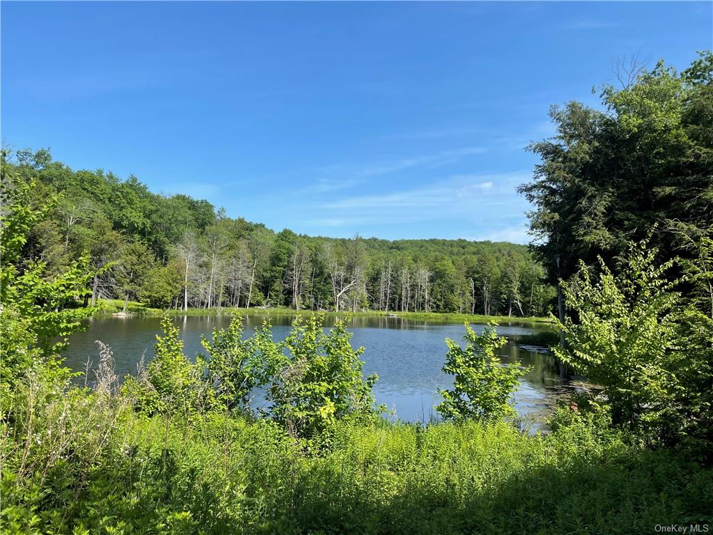 Land Eagles Ridge  Sullivan, NY 12768, MLS-H6123686-5