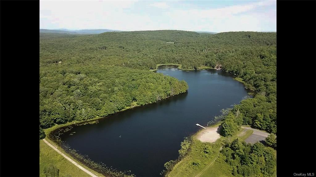 Land Tanzman  Sullivan, NY 12768, MLS-H6123688-5