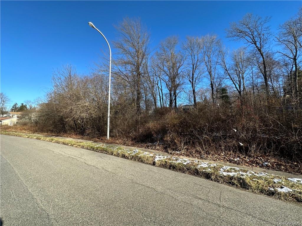 Land Front  Westchester, NY 10598, MLS-H6276695-5