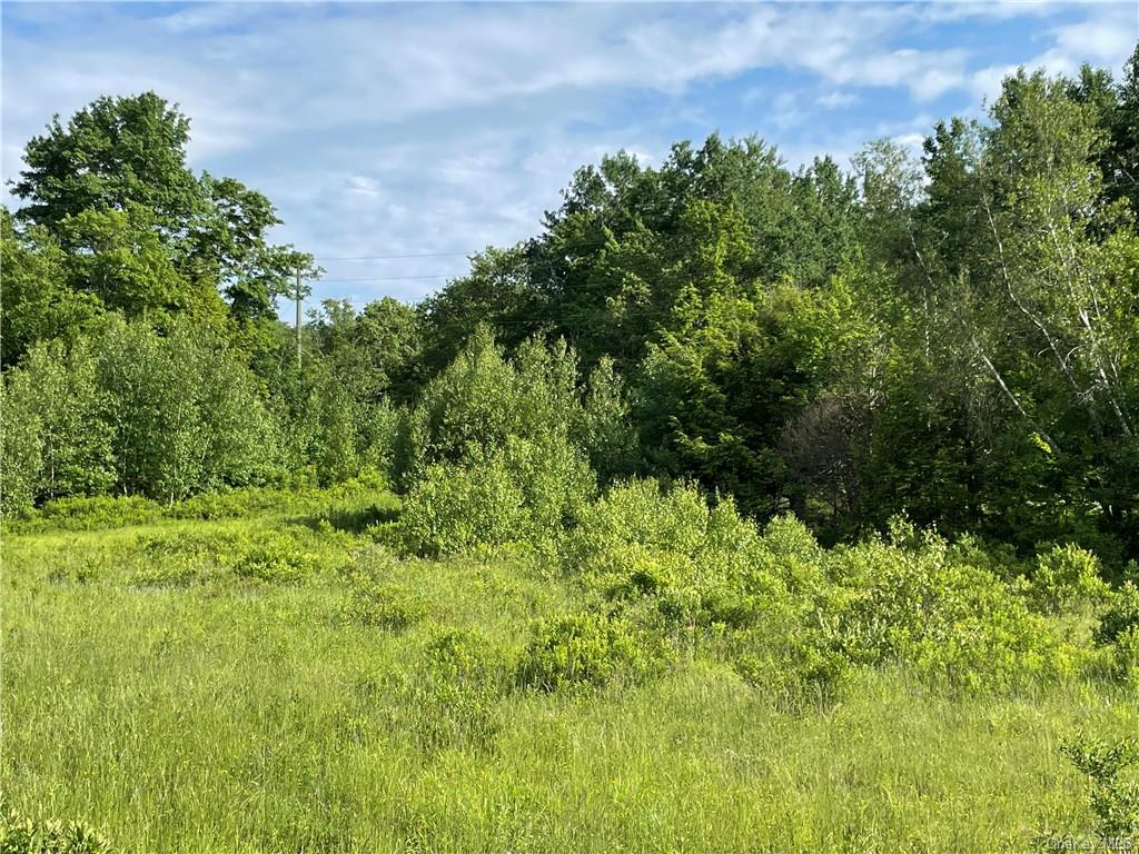 Land Tanzman  Sullivan, NY 12768, MLS-H6123698-5