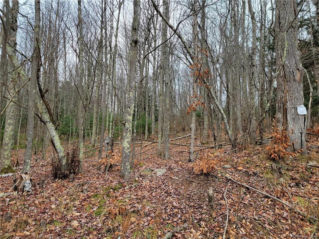 Land Burnt Ridge Road Tr 64  Sullivan, NY 12733, MLS-H6222706-5