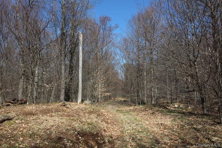 Land Cattail  Sullivan, NY 12758, MLS-H6244708-5