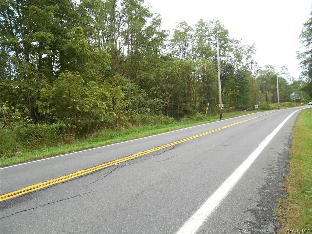 Land State Route 32  Ulster, NY 12548, MLS-H6265719-5