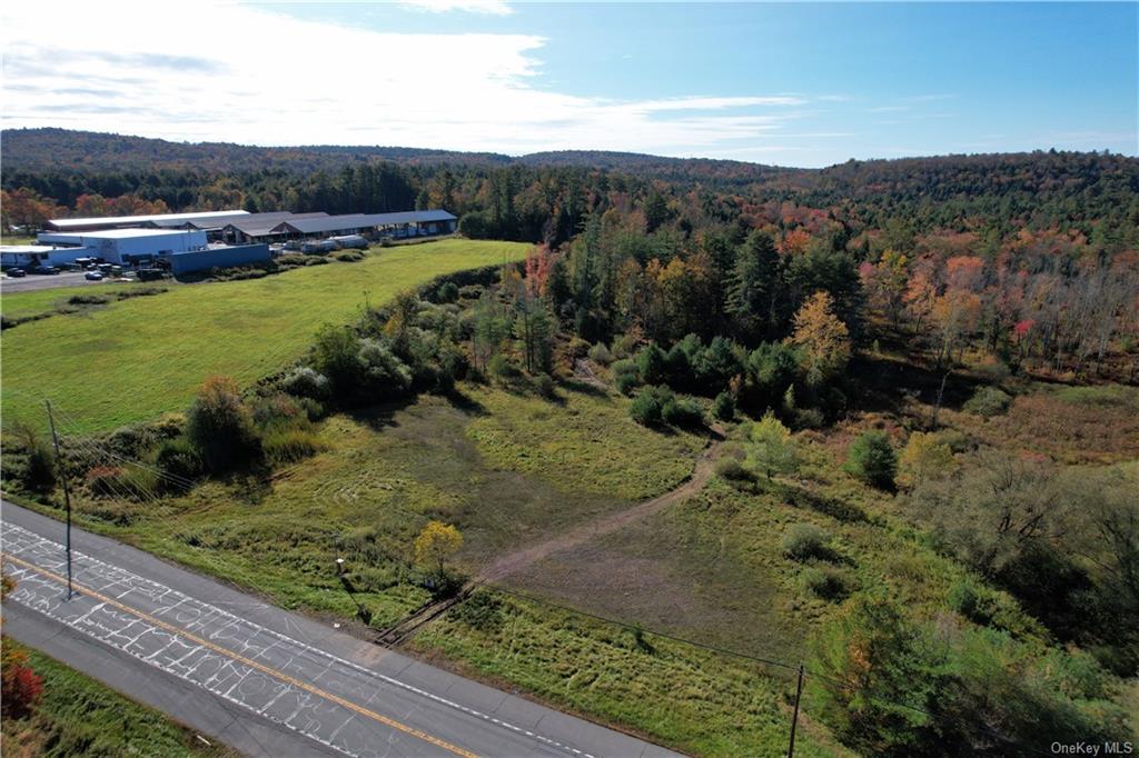 Land Nys Route 17b  Sullivan, NY 12701, MLS-H6273719-5