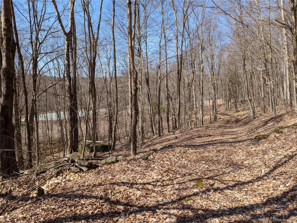 Land 0 Buck Brook Rd Tr10  Sullivan, NY 12736, MLS-H6172755-5