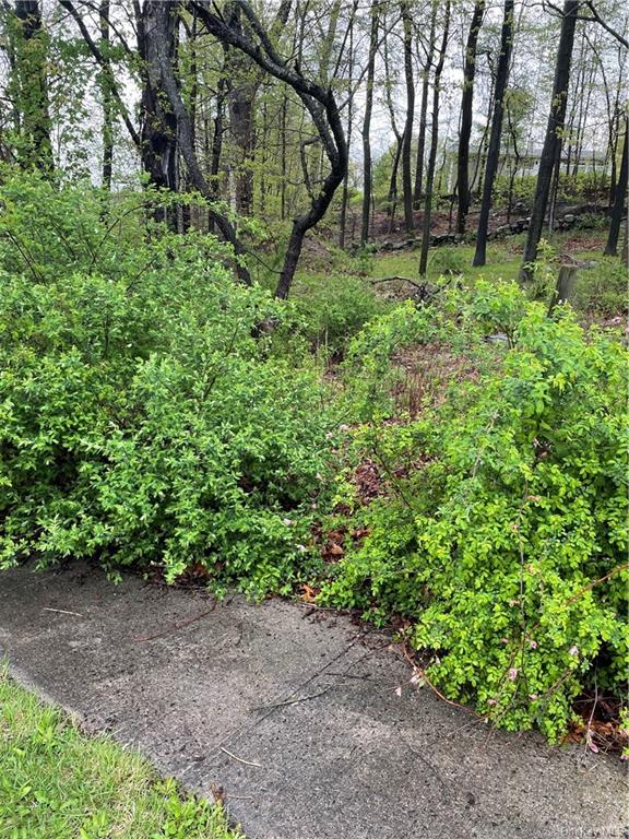 Land Front  Westchester, NY 10598, MLS-H6244777-5
