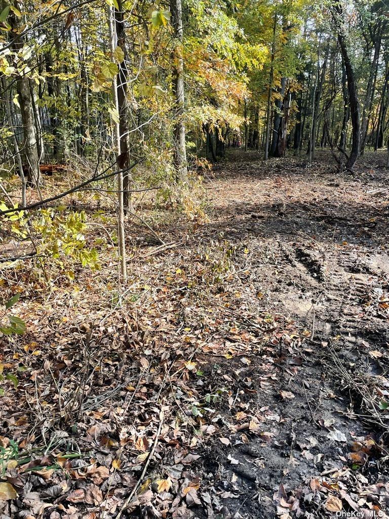 Land Tammy  Out Of Area, NY 12015, MLS-3465779-5