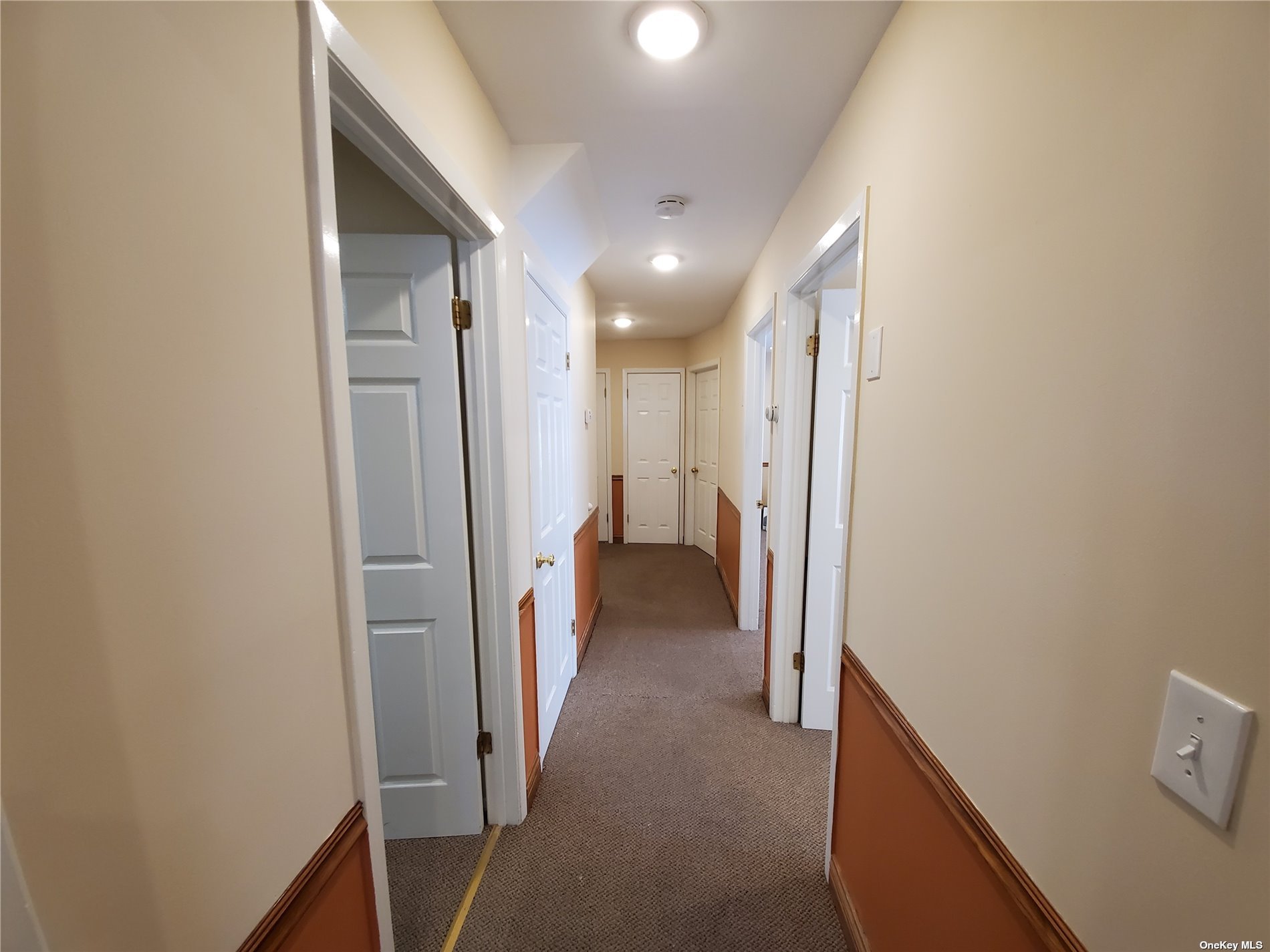 Apartment Forest  Nassau, NY 11542, MLS-3510795-5