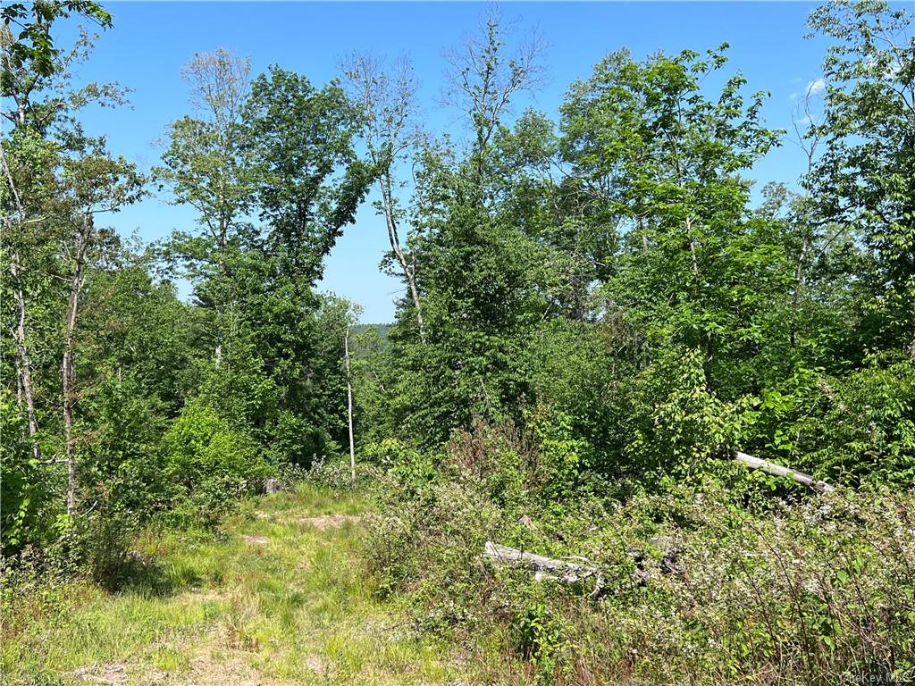 Land Gables  Sullivan, NY 12764, MLS-H6252813-5